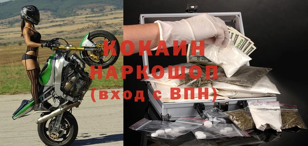 гидра Абаза