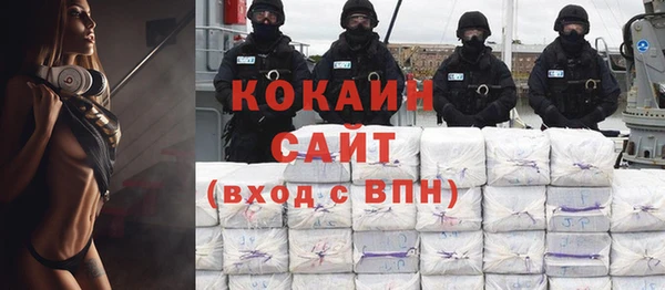 гидра Абаза
