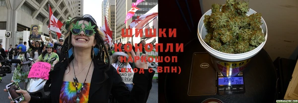 гидра Абаза
