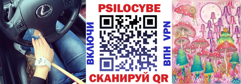 Псилоцибиновые грибы мицелий  Благодарный 