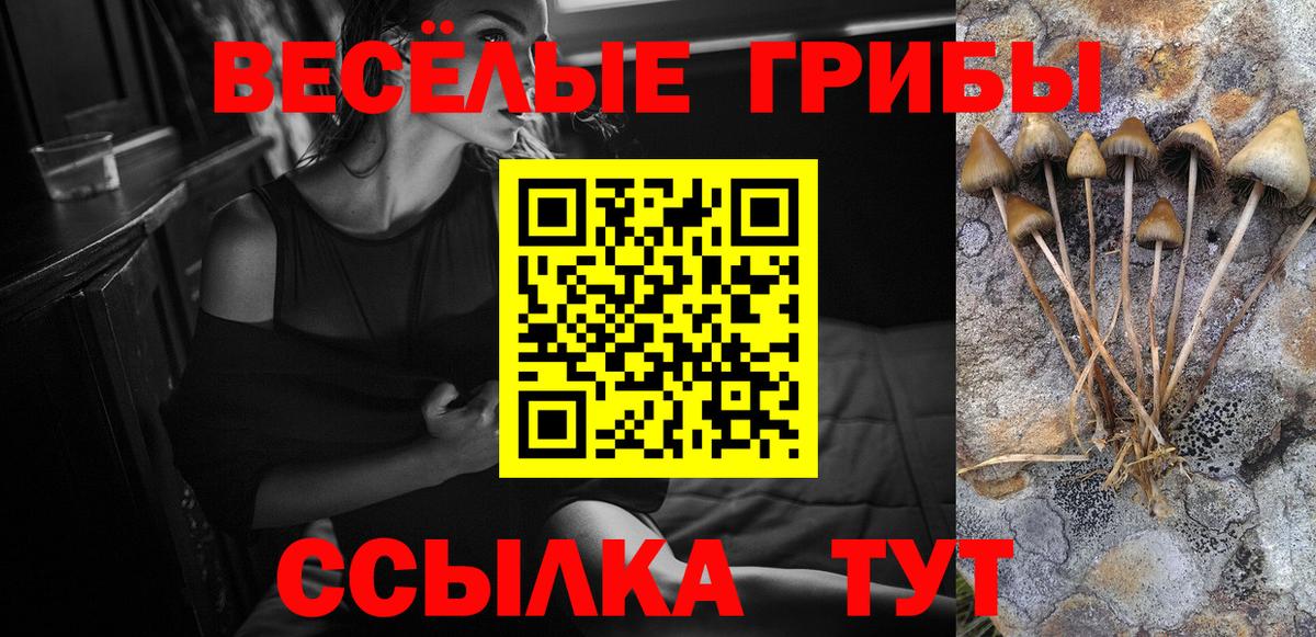 Благодарный  Галлюциногенные грибы Cubensis  Псилоцибиновые грибы Magic Shrooms  Вход с VPN 