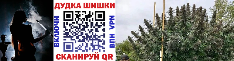 как найти закладки  Благодарный  МАРИХУАНА OG Kush 